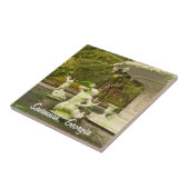 Carreau Fontaine de Forsyth, la savane, photographie de (Côté)