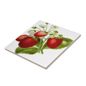 Carreau Food fruit leaf leafy (Côté)