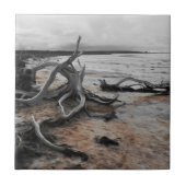 Carreau Forces naturelles du lac Tyrrell (Devant)