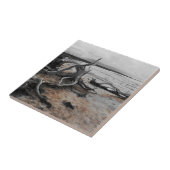 Carreau Forces naturelles du lac Tyrrell (Côté)