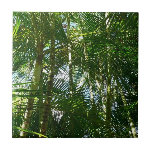Carreau Forest of Palm Trees Tropical Nature (Devant)