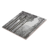 Carreau Forêt à feuillage persistant en hiver (Côté)