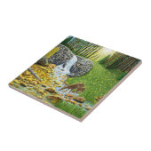 Carreau Forêt à l'aube (Côté)