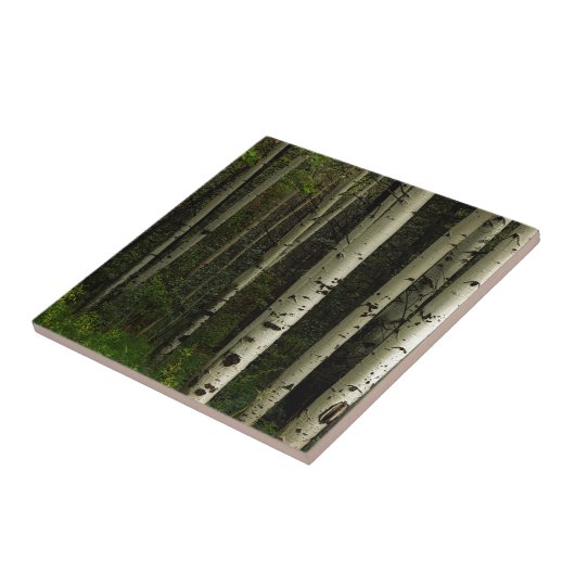 Carreau Forêt blanche (Côté)