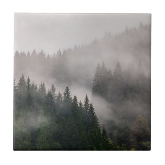 Carreau Forêt brumeuse dans les montagnes (Devant)