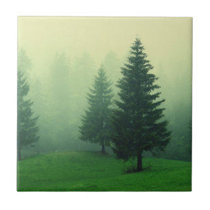 Carreau Forêt brumeuse de pin