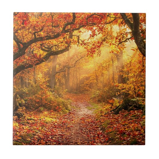 Carreau Forêt d'automne (Devant)