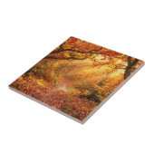 Carreau Forêt d'automne (Côté)