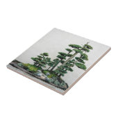 Carreau Forêt de bonsaïs de genévrier (Côté)