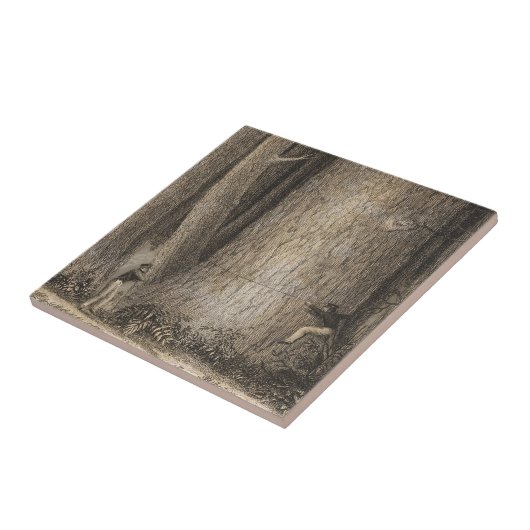 Carreau Forêt de pin, Orégon (Côté)