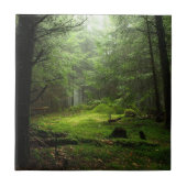 Carreau Forêt de Sterious (Devant)