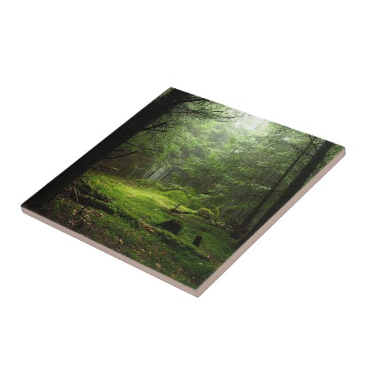 Carreau Forêt de Sterious (Côté)