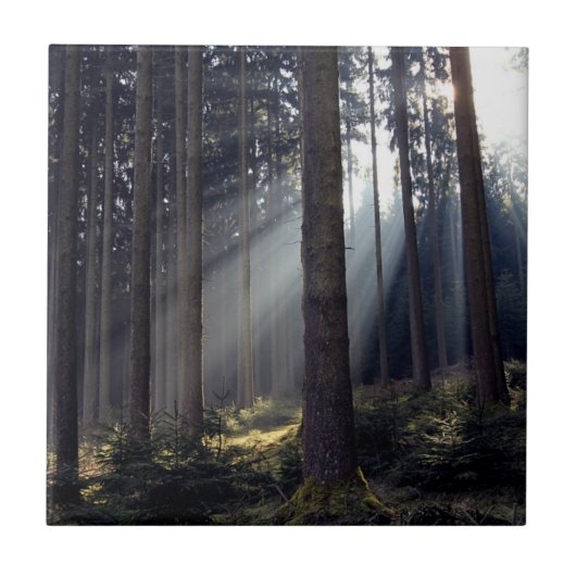 Carreau Forêt en Bavière (Devant)