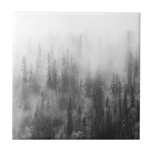Carreau Forêt en brouillard (Devant)