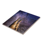 Carreau Forêt enchantée (Côté)