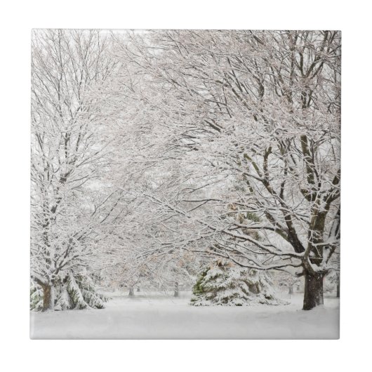 Carreau Forêt hivernale neige (Devant)