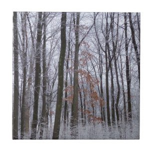Carreau Forêt huppée neige paysage d'hiver Photographie