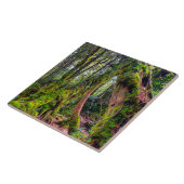 Carreau Forêt moussue (Côté)