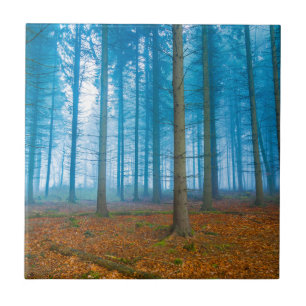 Carreau Forêt mystique au brouillard en bleu et orange