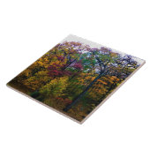 Carreau Forêt sombre d'automne (Côté)