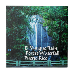 Carreau Forêt tropicale d'EL Yunique