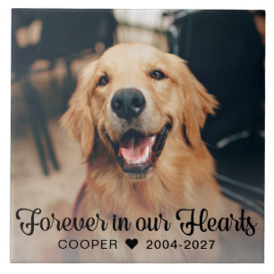 Carreau Forever in our Hearts Pet Memorial Photo Plaque
