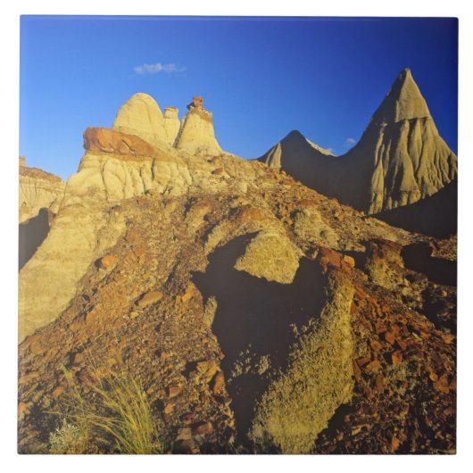 Carreau Formations des Badlands au Dinosaur Provincial Par (Devant)