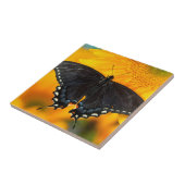 Carreau Forme noire du papillon de l'Est (Côté)