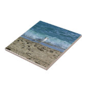 Carreau Fort Lauderdale, Floride (Côté)