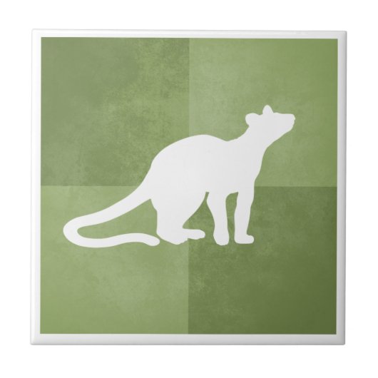 Carreau Fossa Madagascar endémique carnivore vert (Devant)