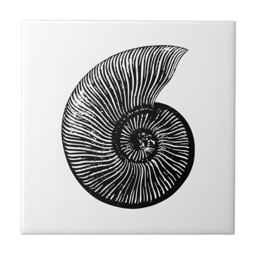 Carreau Fossile ammonite (Devant)