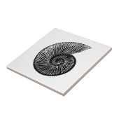 Carreau Fossile ammonite (Côté)