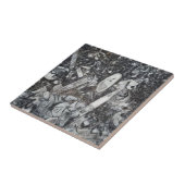 Carreau fossile Orthoseras et Goniatite (Côté)