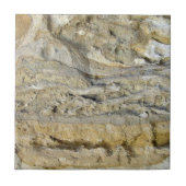 Carreau Fossiles de racine dans la digue de chaux (Devant)