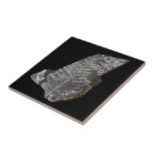 Carreau Fossilisé Feuille Rock Nature Photographie (Côté)