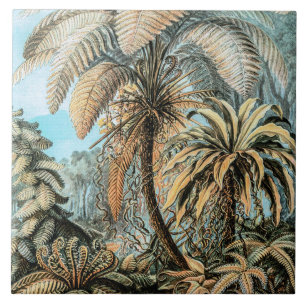 Carreau Fougères Plantes anciennes par Ernst Haeckel