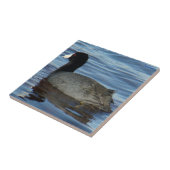 Carreau Foulque américaine B27 (Côté)