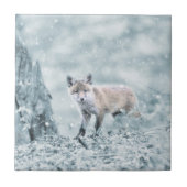 Carreau Fox CUB dans la neige (Devant)