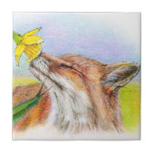 Carreau Fox de Fred (Devant)