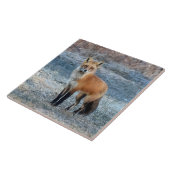 Carreau Fox Et Frost (Côté)