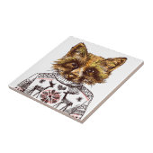 Carreau Fox habillé rusé (Côté)