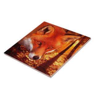 Carreau Fox rouge