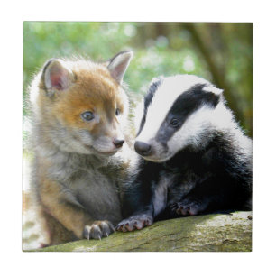 Carreau Foxcub et blaireau mignons !