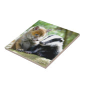 Carreau Foxcub et blaireau mignons ! (Côté)