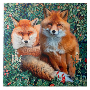 CARREAU FOXES ROUGES PARMI LA VERDURE, LE FOLIAGE ET LES F