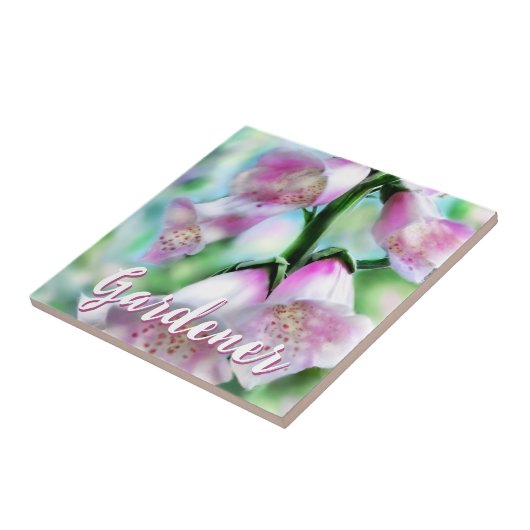 Carreau Foxglove Flowers Floral Pink Garden Personalized (Côté)