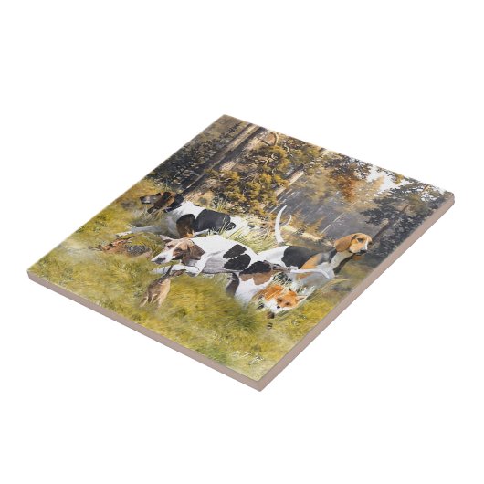 Carreau Foxhound (Côté)