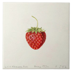 Carreau Fraise rouge mûre (par Louis C.C. Krieger)