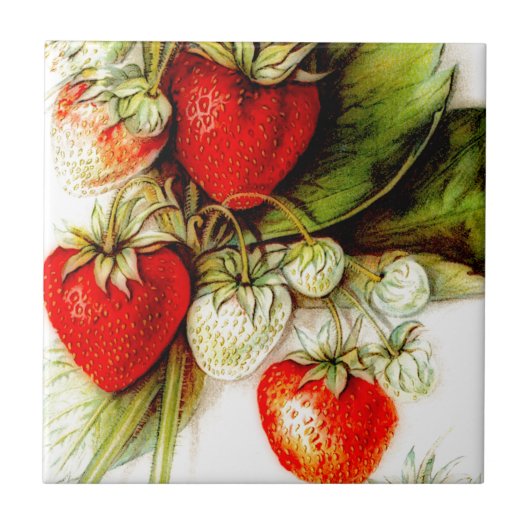 Carreau fraise vintage (Devant)