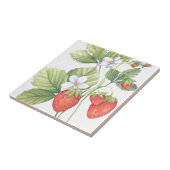 Carreau Fraises (Côté)